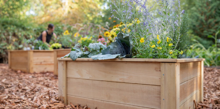 raised garden bed